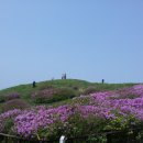 지리산 바래봉철쭉(12.5.12(토)) 이미지