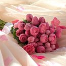 우림(아) | 이브로제하우스 여름 오후 촬영 후기 with 장아연 작가님 (feat.헤어변형 그대와 우림)