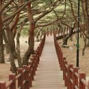 홀섬 민박 이미지