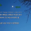 별 눈/김정식 이미지