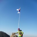 태을초교 이미지