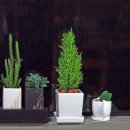 물흐르듯 이미지