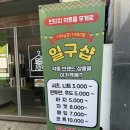 인천 부평 빈티지 구제샵 일구샵 무게로 구매하는 옷가게 쇼핑 후기