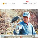 매사냥체험홍보관 이미지