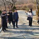 도계체육공원 이미지