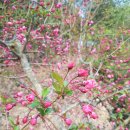 HS행정사사무소 이미지