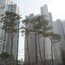 미사플러스공인중개사사무소 이미지