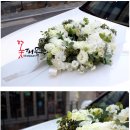 꽃그린피움