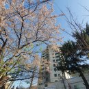 괴정1동할머니 이미지