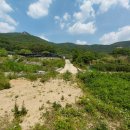 금산농장 2 이미지