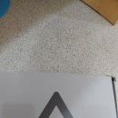 유로틴트