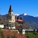 동양농장 이미지