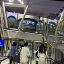 748 | 푸켓에서 인천 아시아나 OZ748 좌석 기내식 후기