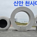 6월 8일신안 도초도수국및선왕산 이미지