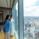 제주로베로아넥스 이미지