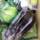 일용식당 이미지