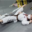 성신 태권도장 이미지