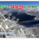 2015년 2월1일 전북무주 덕유산(1,614m) 정기산행안내 이미지