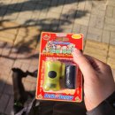 비니펫살롱 이미지