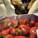 단산농장 이미지