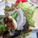 롯데횟집 | 속초 외옹치항 미란이네횟집 방문기｜롯데리조트 바로 옆! 대게·모둠회 솔직 후기