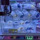 다있소 뽑기방 | 인형뽑기 9탄... 하루 세끼 라면만 먹어야 하는 삶