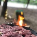 돌배야영장(제2야영장) 이미지