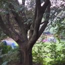 음치탈출 노래교실 이미지