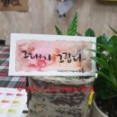 오즈핸드 이미지