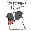 월드구매대행