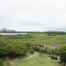 서광서리 이미지