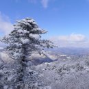 겨울왕국 용평 발왕산 눈꽃산행(1458m뉴가자산악회 12월21일(화) 이미지