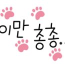 동백원민박