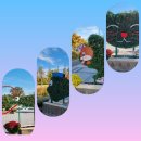 논산시민공원 이미지