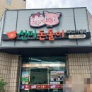 선미돈돌이