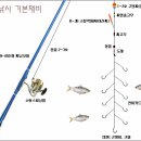 전어 낚시 채비 이미지