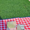 학운공원 축구장 옆 | [9월 서울 행사] 2025 여의도 불꽃축제 명당 자리 추천 및 준비물(노량진축구장)