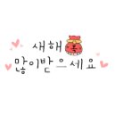 벨라펫살롱 이미지