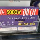 박정미5000냥헤어 네이버블로그