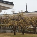 국립경주박물관 이미지