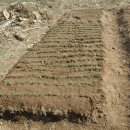 형제농장B 이미지