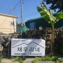 채우리네