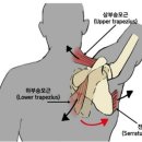 올인원짐 이미지