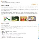 아트 손글씨 이미지