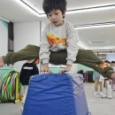 해바라기 태권도 이미지