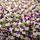 대훈농장 이미지