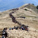 민둥산운동장 1 이미지