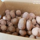 춘자농장 이미지