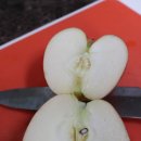 정영농장 이미지