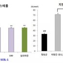 우수푸드 이미지